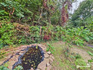 Pond- click for photo gallery